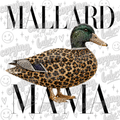Mallard Mama PNG