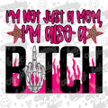 I’m not just a mom. I’m also a bitch PNG.