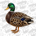 Bougie Mallard PNG