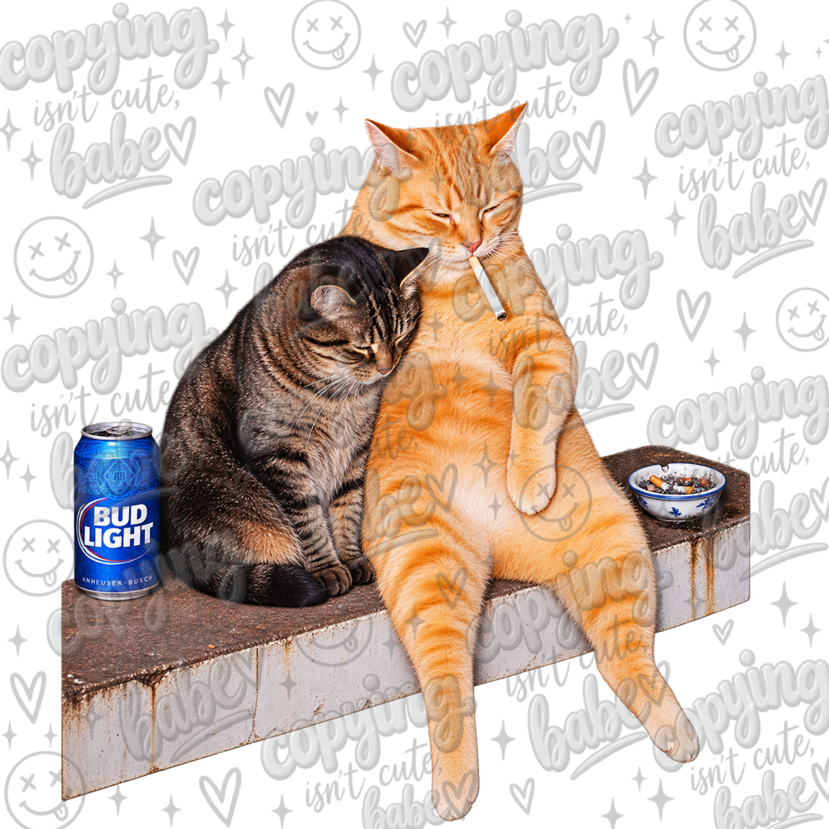 Just you and me cat meme PNG